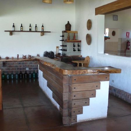 מלון נאסקה Casa Hacienda Nasca Oasis מראה חיצוני תמונה