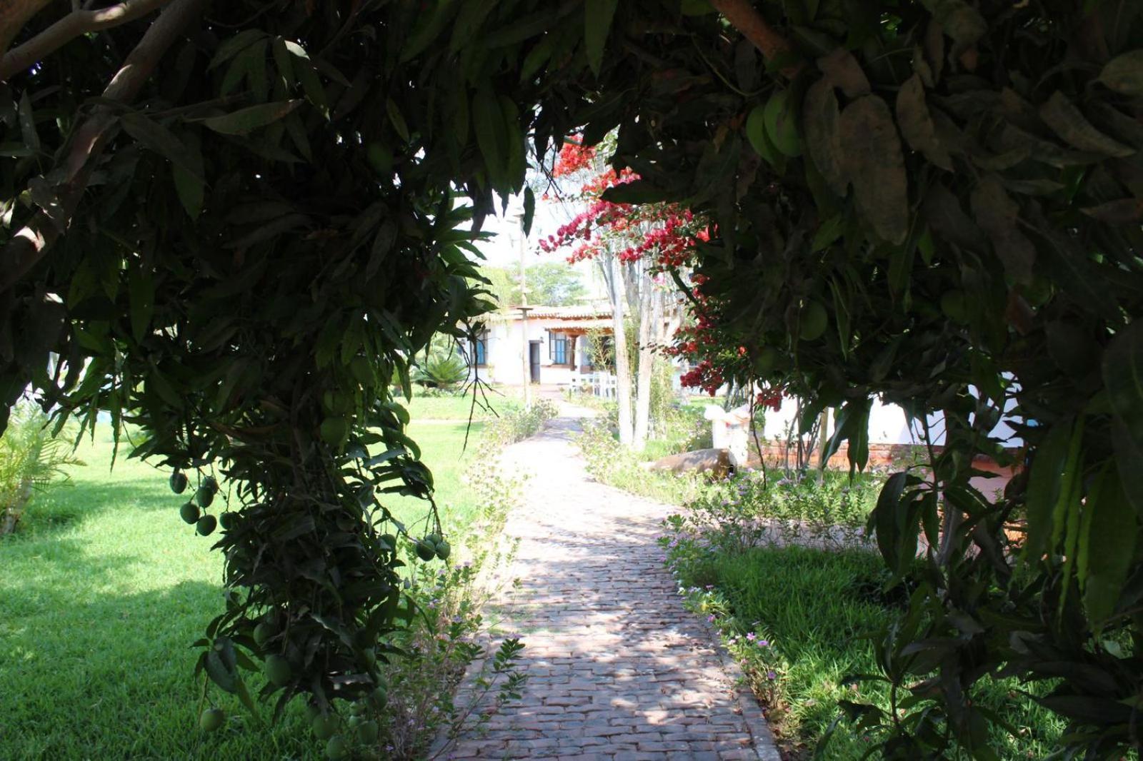 מלון נאסקה Casa Hacienda Nasca Oasis מראה חיצוני תמונה