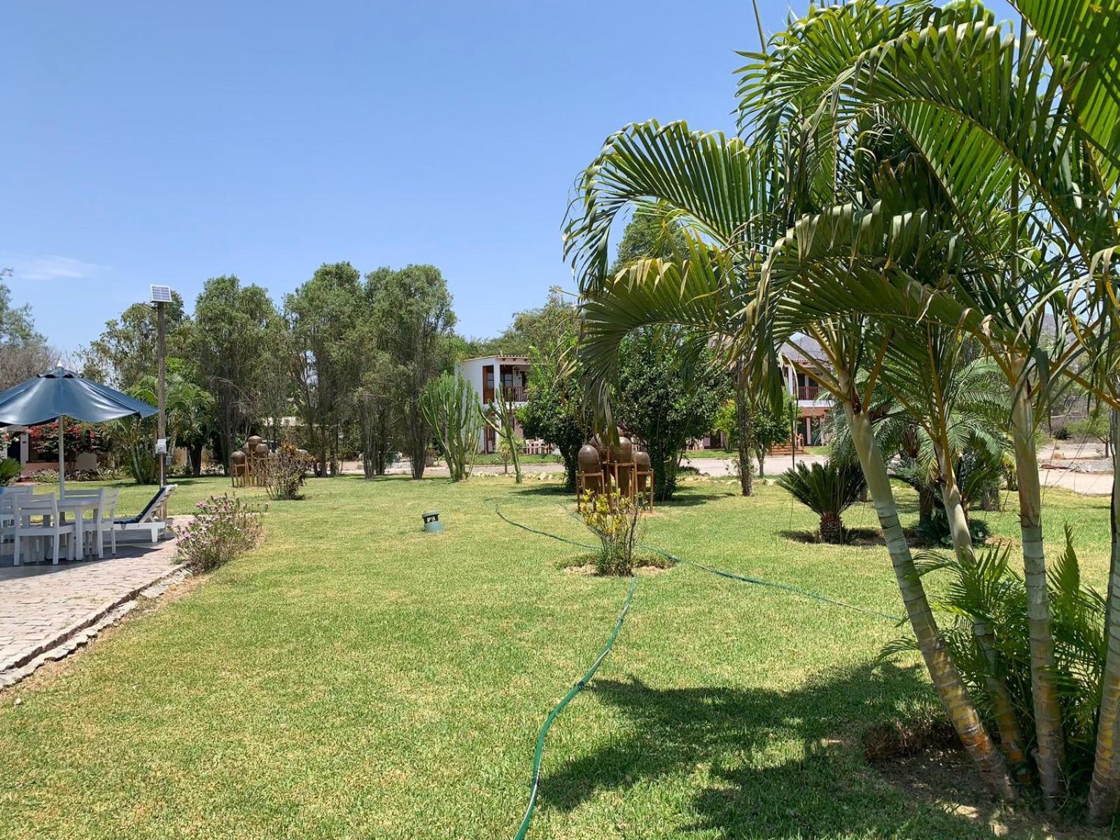 מלון נאסקה Casa Hacienda Nasca Oasis מראה חיצוני תמונה