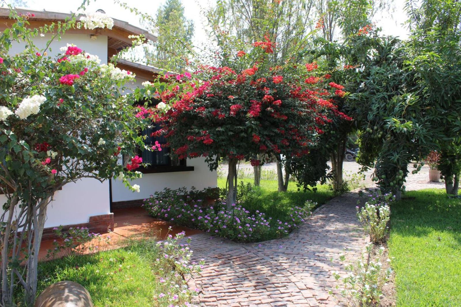 מלון נאסקה Casa Hacienda Nasca Oasis מראה חיצוני תמונה