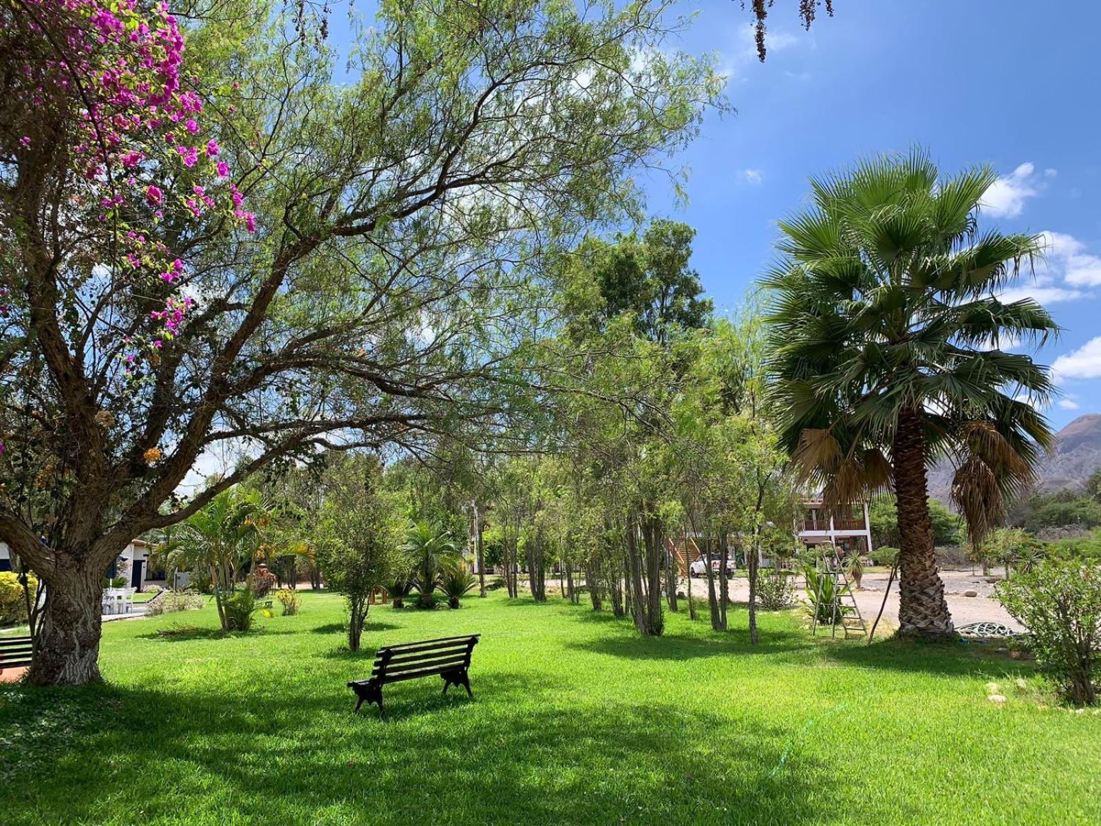 מלון נאסקה Casa Hacienda Nasca Oasis מראה חיצוני תמונה