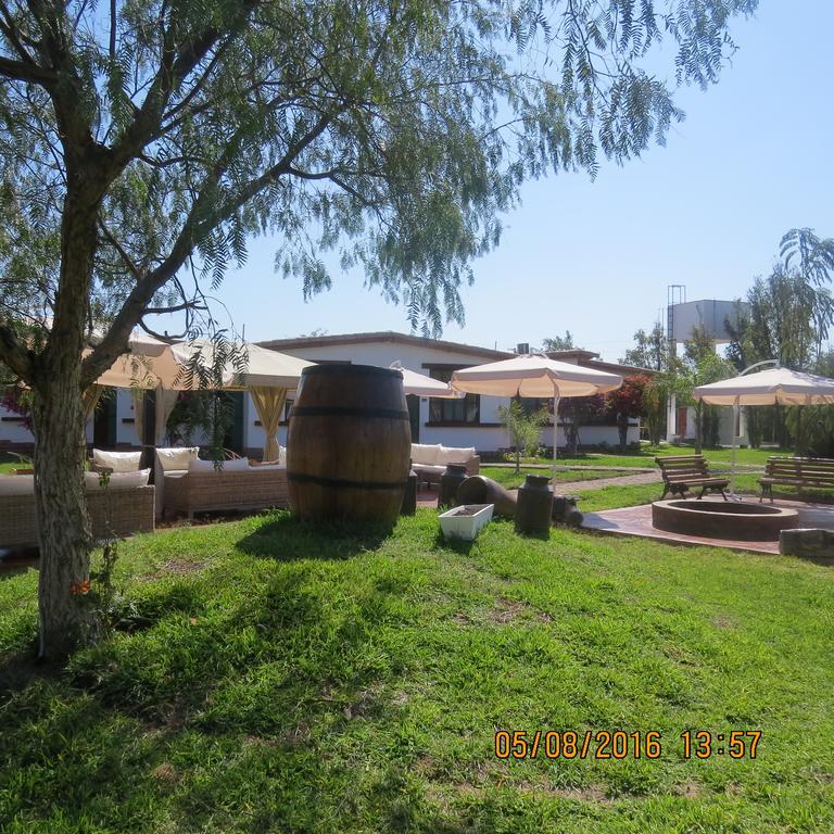 מלון נאסקה Casa Hacienda Nasca Oasis מראה חיצוני תמונה