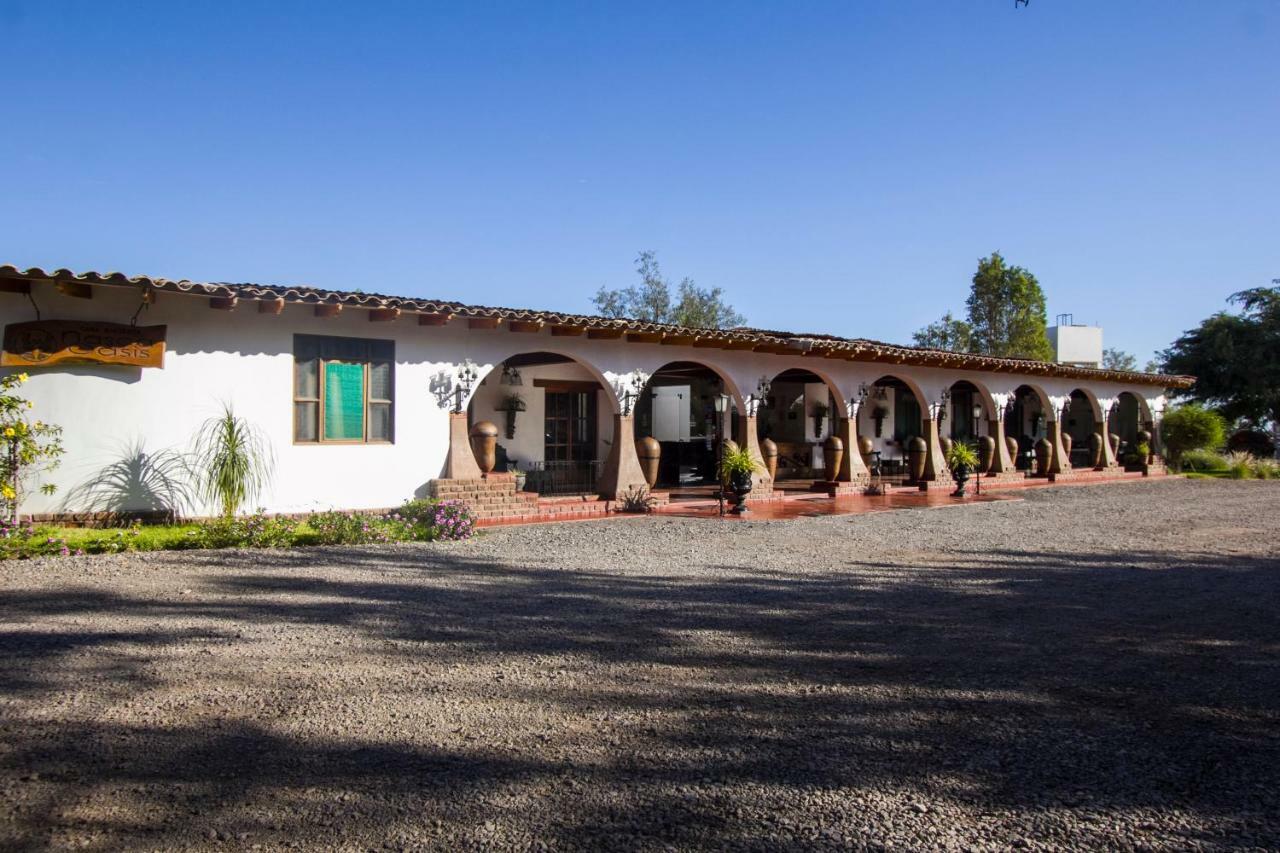 מלון נאסקה Casa Hacienda Nasca Oasis מראה חיצוני תמונה